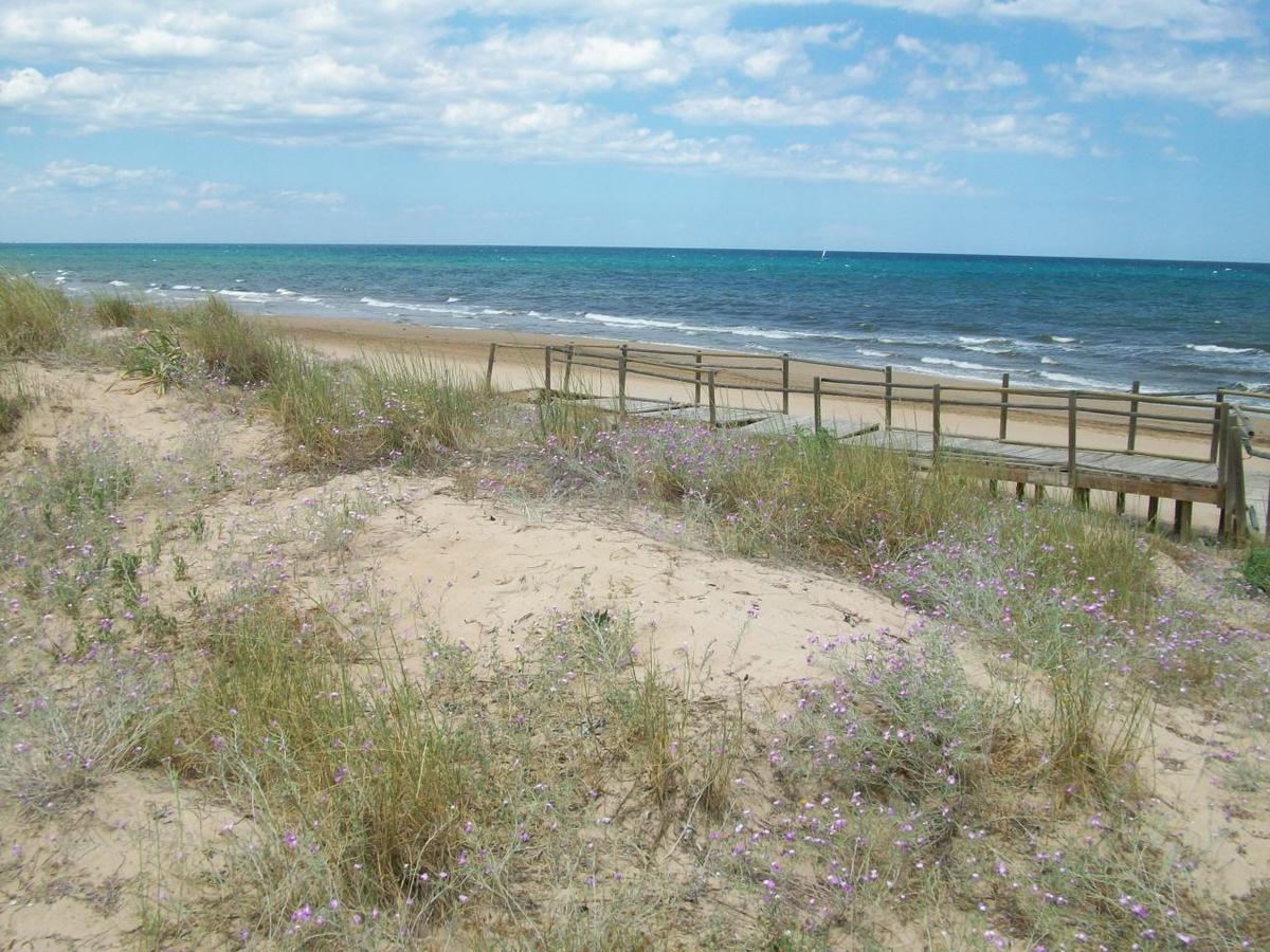 Roderic - Apartamento Junto Al Mar Oliva Bagian luar foto