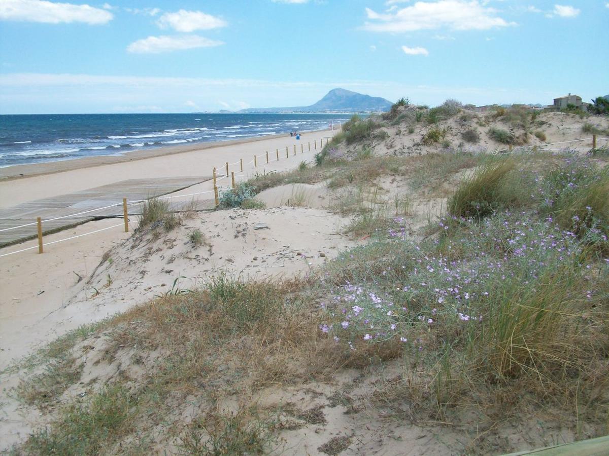 Roderic - Apartamento Junto Al Mar Oliva Bagian luar foto